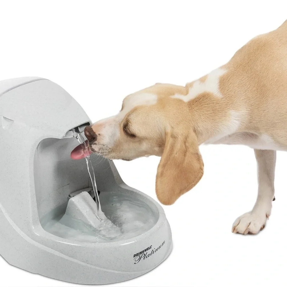 Drinkwell Platinum Pet dog cat water fountain Fountain